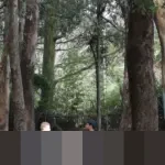 Langkah Mudah Mengurus SIM: Panduan Lengkap Syarat dan Prosedur Penerbitan SIM A, B, C, dan D Terbaru