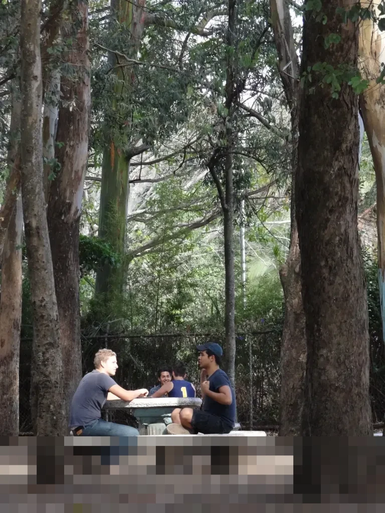 Langkah Mudah Mengurus SIM: Panduan Lengkap Syarat dan Prosedur Penerbitan SIM A, B, C, dan D Terbaru Langkah Mudah Mengurus SIM: Panduan Lengkap Syarat dan Prosedur Penerbitan SIM A, B, C, dan D Terbaru