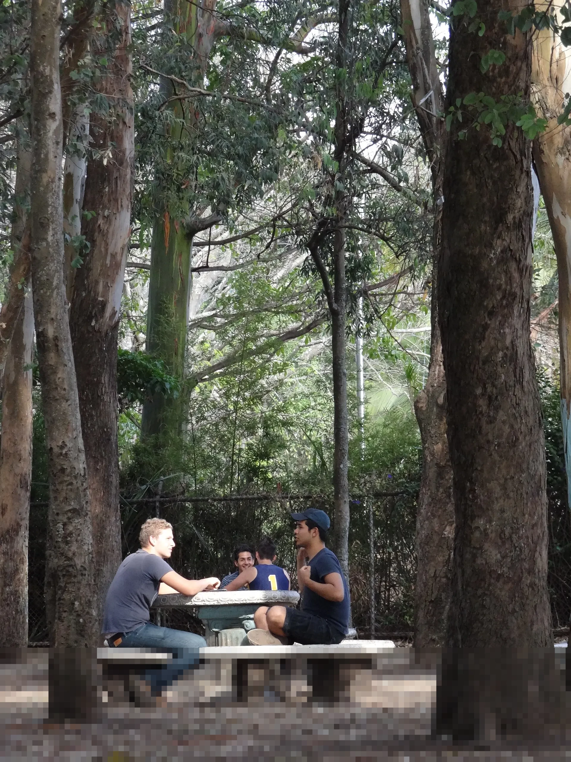 Langkah Mudah Mengurus SIM: Panduan Lengkap Syarat dan Prosedur Penerbitan SIM A, B, C, dan D Terbaru