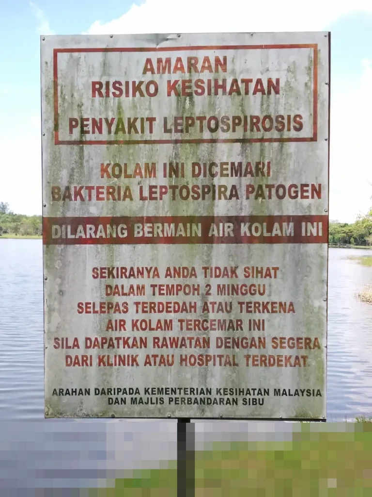 Leptospirosis di DIY: 38 Warga Meninggal dari 453 Kasus Sepanjang Januari-November 2025