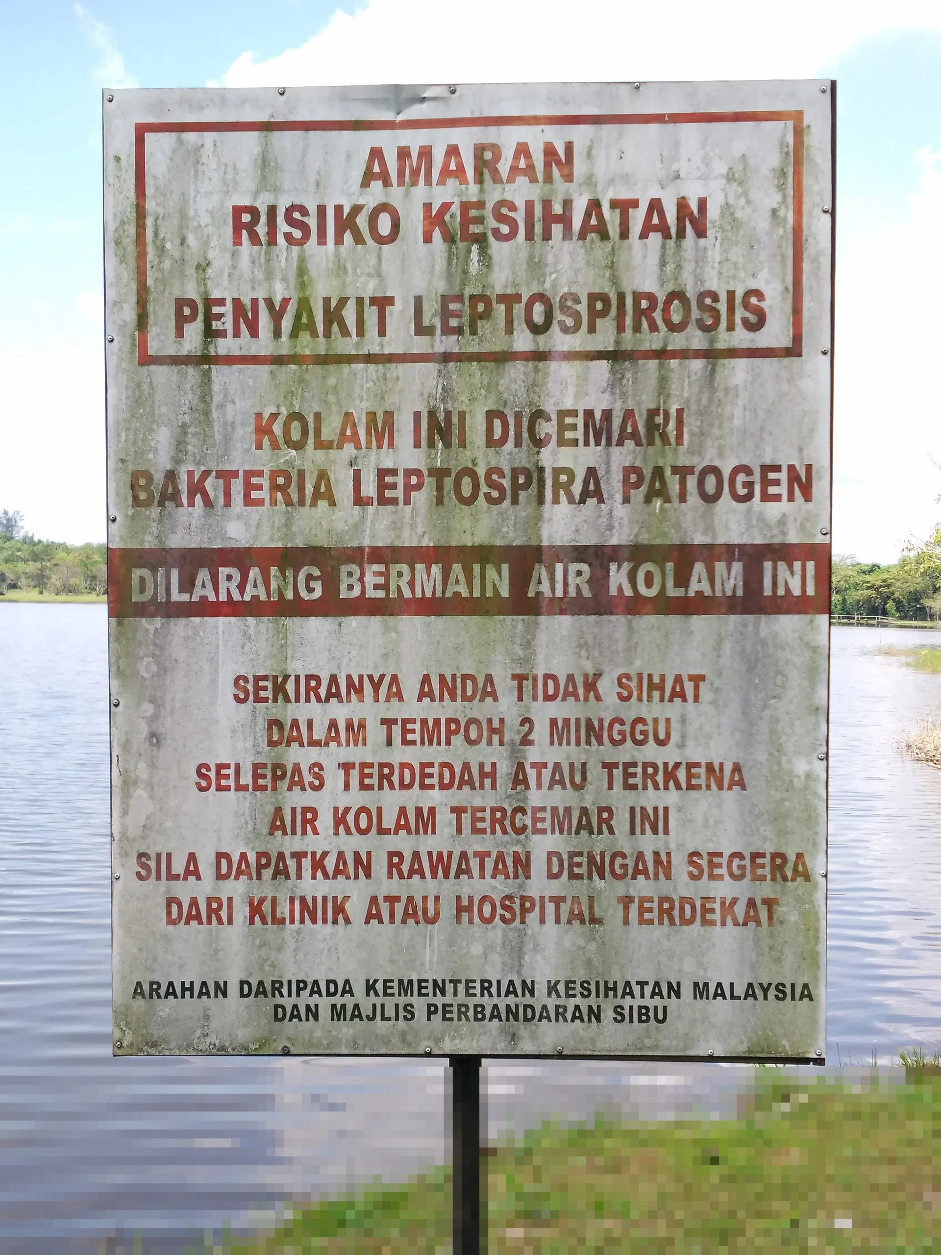 Leptospirosis di DIY: 38 Warga Meninggal dari 453 Kasus Sepanjang Januari-November 2025