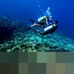 Libur Tahun Baru 2026, Taman Laut Olele Gorontalo Diserbu 100 Wisatawan, Naik Signifikan