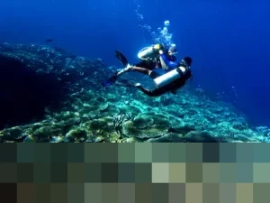 Libur Tahun Baru 2026, Taman Laut Olele Gorontalo Diserbu 100 Wisatawan, Naik Signifikan