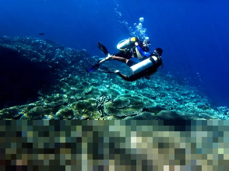 Libur Tahun Baru 2026, Taman Laut Olele Gorontalo Diserbu 100 Wisatawan, Naik Signifikan