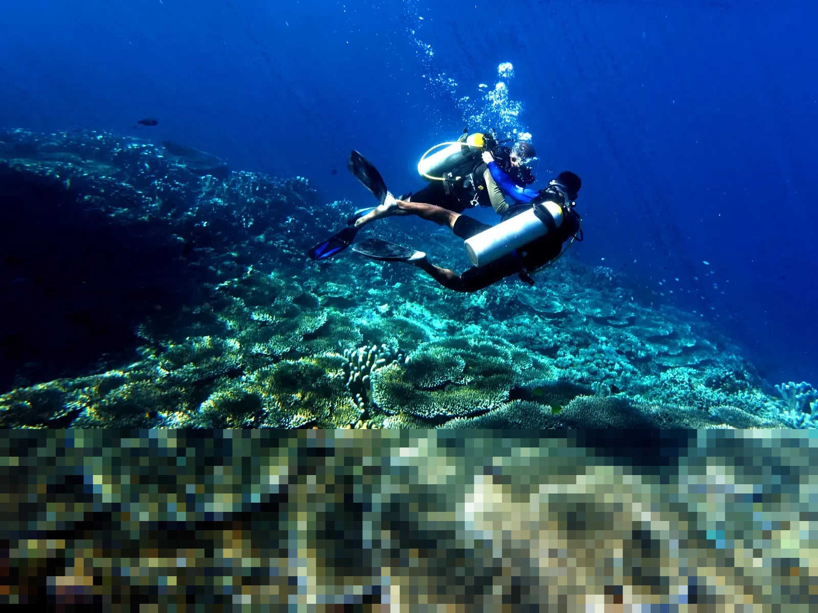 Libur Tahun Baru 2026, Taman Laut Olele Gorontalo Diserbu 100 Wisatawan, Naik Signifikan Libur Tahun Baru 2026, Taman Laut Olele Gorontalo Diserbu 100 Wisatawan, Naik Signifikan