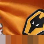 Mane Pecahkan Rekor, Ini 4 Pencetak Gol Termuda Wolves di EPL per Januari 2026