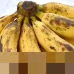 Manfaat Pisang Berubah Drastis Sesuai Tingkat Kematangan: Panduan Konsumsi Optimal untuk Kesehatan