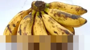 Manfaat Pisang Berubah Drastis Sesuai Tingkat Kematangan: Panduan Konsumsi Optimal untuk Kesehatan