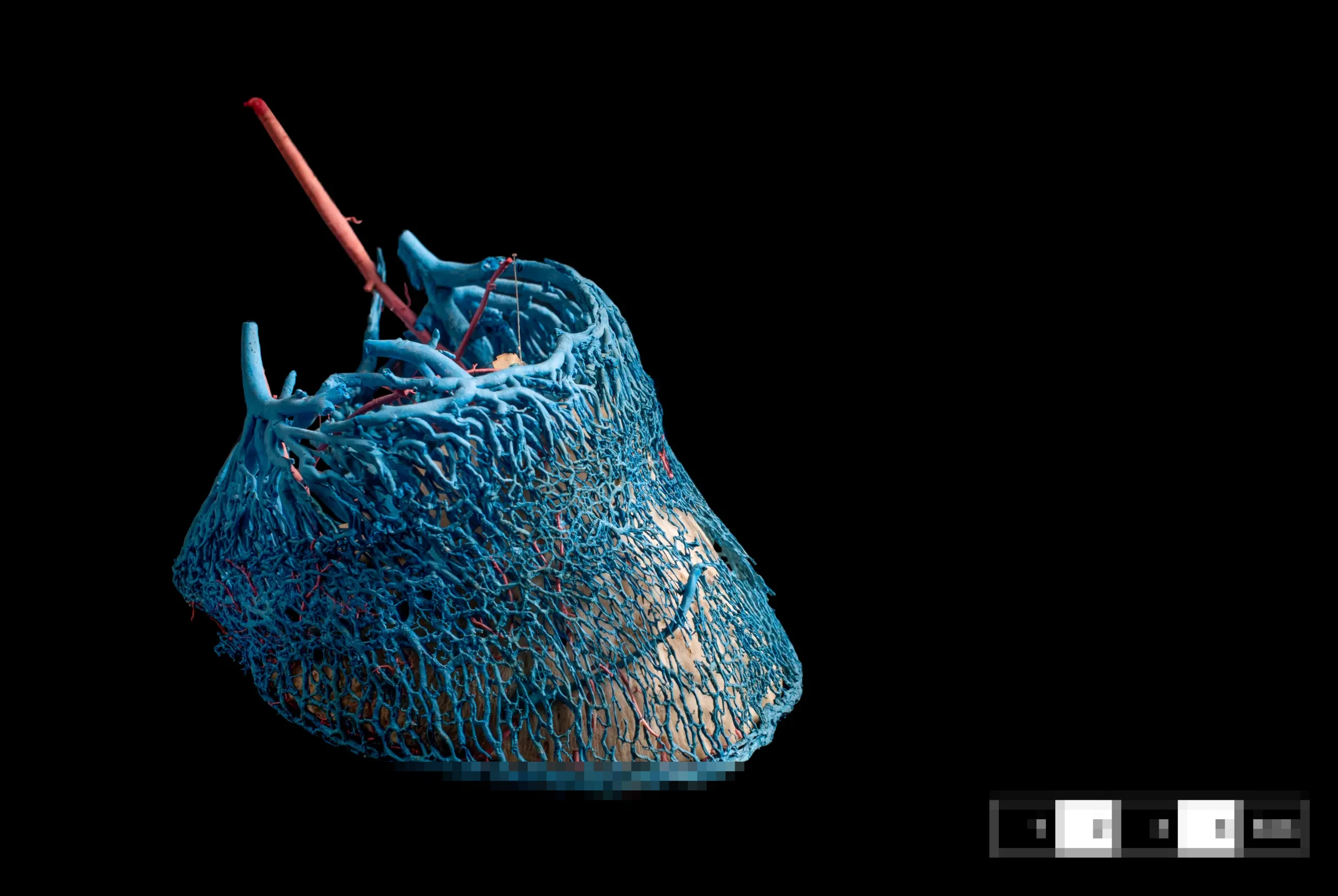 Memahami Fasiq: Definisi, Perbedaan dengan Zindiq, dan Dampaknya dalam Kehidupan Umat Islam Memahami Fasiq: Definisi, Perbedaan dengan Zindiq, dan Dampaknya dalam Kehidupan Umat Islam