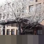 Memahami Mujtahid: Pilar Penentu Hukum Islam dan Peran Sentralnya dalam Ijma