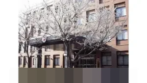 Memahami Mujtahid: Pilar Penentu Hukum Islam dan Peran Sentralnya dalam Ijma