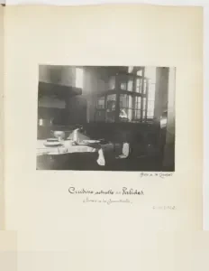 Memahami Peran Sentral Ulama di Indonesia: Penjaga Moral dan Penuntun Gaya Hidup Halal