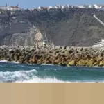 Memahami Peran Sentral Ulama di Indonesia: Penjaga Moral dan Penuntun Gaya Hidup Halal