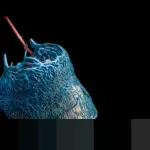 Memahami Toleransi Beragama: Kandungan Surat Yunus Ayat 40-41 dalam Perspektif Islam