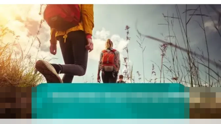 Memasuki Hari Keenam, Pencarian Pendaki Hilang di Gunung Slamet Terkendala Cuaca Buruk dan Medan Terjal