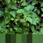 Mendagri Tito Karnavian Desak Kepala Daerah Sumatera Percepat Validasi Data Rumah Rusak