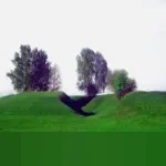 Menelisik Fenomena Orang Tanpa Rasa Bersalah: Kumpulan Kutipan untuk Refleksi Diri