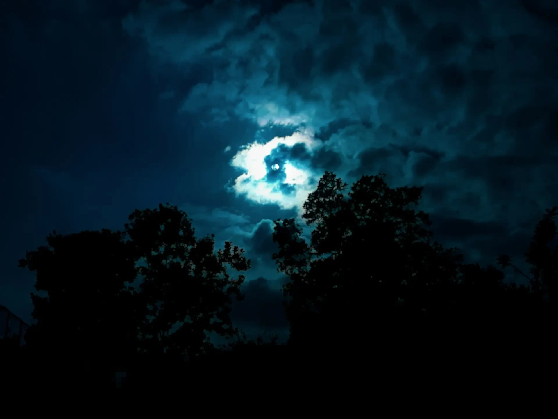 Menelisik Taqlid dalam Islam: Antara Larangan, Pemikiran Kritis, dan Relevansi Gaya Hidup Halal Masa Kini Menelisik Taqlid dalam Islam: Antara Larangan, Pemikiran Kritis, dan Relevansi Gaya Hidup Halal Masa Kini