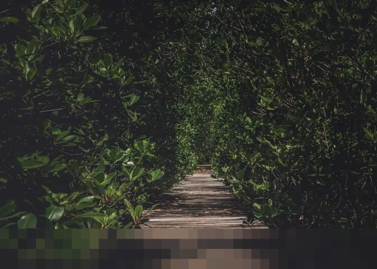 Menelusuri Jejak Madinat As-Salam: Kisah Kejayaan dan Kehancuran Pusat Peradaban Islam Baghdad