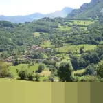 Mengenali Tanda-tanda Taubat Diterima Allah SWT: Panduan Lengkap dalam Ajaran Islam