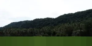 Mengenang Ahn Sung-ki: Ikon Perfilman Korea yang Berdedikasi dalam 170 Lebih Karya