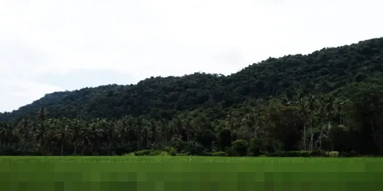 Mengenang Ahn Sung-ki: Ikon Perfilman Korea yang Berdedikasi dalam 170 Lebih Karya