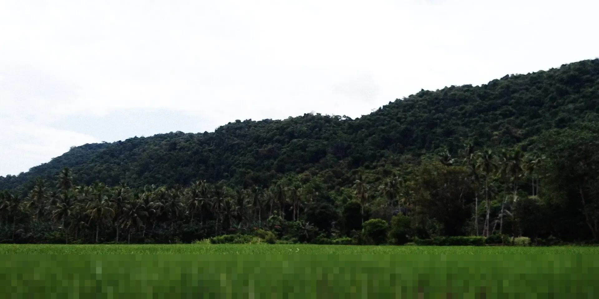 Mengenang Ahn Sung-ki: Ikon Perfilman Korea yang Berdedikasi dalam 170 Lebih Karya