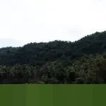 Mengenang Jejak Para Suster: Kisah Pendirian Sekolah Khusus Tuli di Wonosobo Tahun 1938