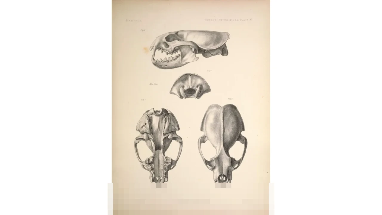 Menguak Sistem Waktu Nusantara: Bagaimana Masyarakat Memahami Hari Tanpa Jam Mekanik?