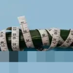 Mengungkap Alasan Ilmiah di Balik Perubahan Ukuran Organ Intim Pria Saat Cuaca Dingin