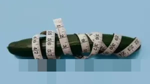 Mengungkap Alasan Ilmiah di Balik Perubahan Ukuran Organ Intim Pria Saat Cuaca Dingin