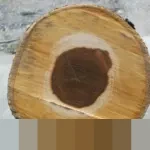 Mengungkap Empat Akar Masalah di Balik Program Rumah Rakyat yang Kerap Gagal Layak Huni