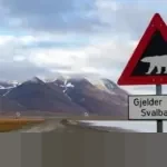 Mengungkap Keunikan Svalbard: Kepulauan Norwegia di Ujung Dunia yang Melarang Kelahiran dan Kematian