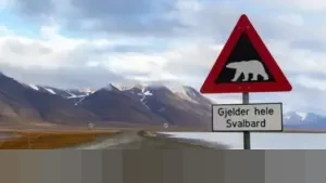 Mengungkap Keunikan Svalbard: Kepulauan Norwegia di Ujung Dunia yang Melarang Kelahiran dan Kematian