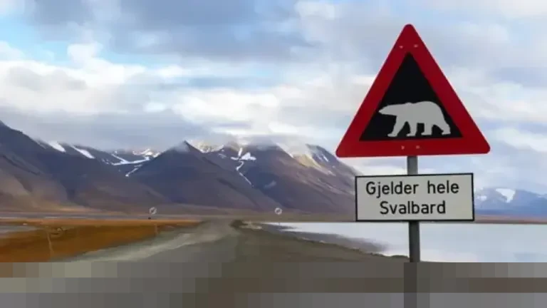 Mengungkap Keunikan Svalbard: Kepulauan Norwegia di Ujung Dunia yang Melarang Kelahiran dan Kematian Mengungkap Keunikan Svalbard: Kepulauan Norwegia di Ujung Dunia yang Melarang Kelahiran dan Kematian