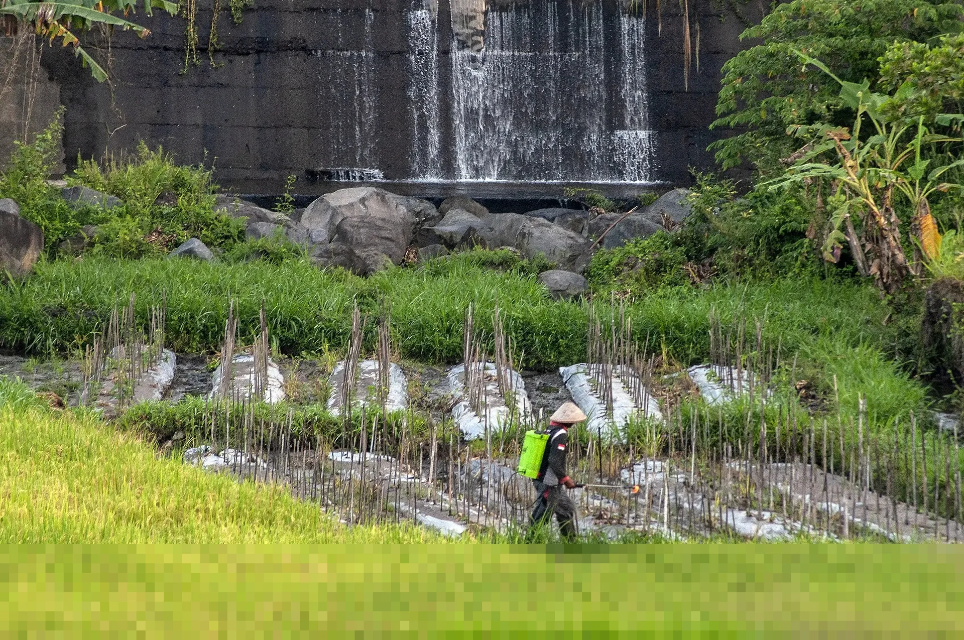 Menjaga Karier Atlet Sepak Bola: Peran Krusial Fisioterapis dalam Pencegahan dan Pemulihan Cedera