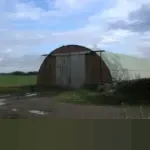 Menjaga Keseimbangan: Konflik Manusia-Gajah Sumatra di Lampung dan Masa Depan Kopi Berkelanjutan