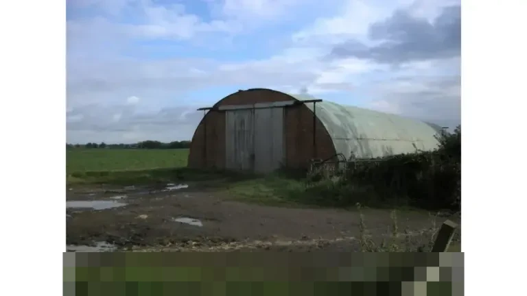 Menjaga Keseimbangan: Konflik Manusia-Gajah Sumatra di Lampung dan Masa Depan Kopi Berkelanjutan