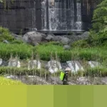 Menjaga Marwah Jurnalisme di Era Digital: Antara Kecepatan, Etika, dan Kepercayaan Publik