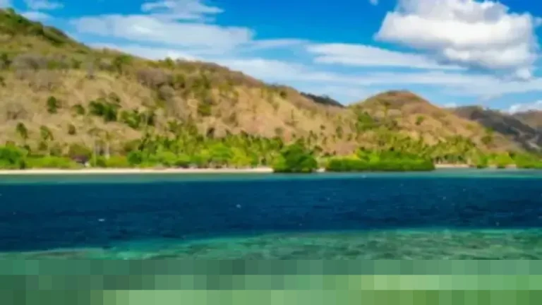 Menjelajahi Keindahan Bahari dari Lombok ke Labuan Bajo: Petualangan Bersama Phinisea