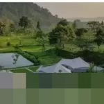 Menjelajahi Kenyamanan Alam Dekat Ibu Kota: Pilihan Glamping Terbaik di Bogor dan Sentul untuk Liburan Akhir Pekan