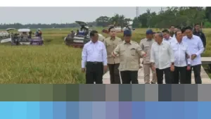 Mentan Amran Ungkap Rencana Ekspor Beras 2026 di Depan Prabowo, Sebut Sejarah Baru