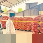 Mentan Amran: “Usut Tuntas Penyelundupan 133,5 Ton Bawang Bombay Berpenyakit di Semarang!”