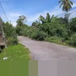 Menteri PU Dody Hanggodo: “Jalan Blangkejeren-Kutacane Sudah Selesai, tapi Memang Masih Terbatas”