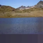 Menyelami Makna Syariat Islam: Pilar Hidup Halal dan Lima Prinsip Fundamentalnya