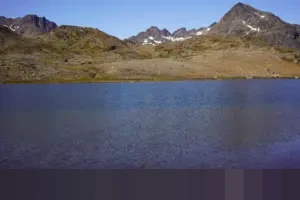 Menyelami Makna Syariat Islam: Pilar Hidup Halal dan Lima Prinsip Fundamentalnya