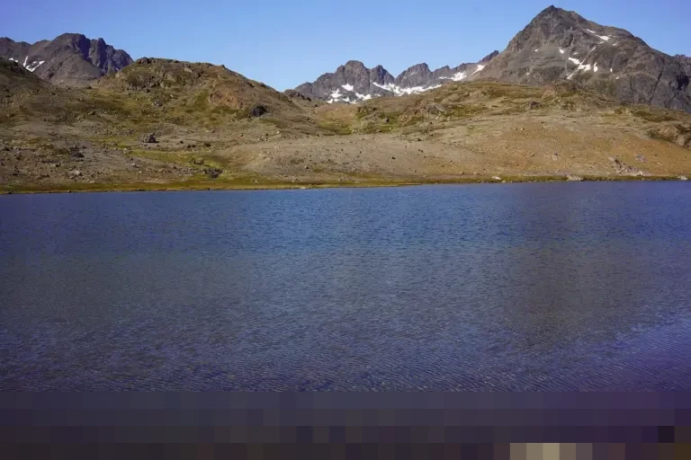 Menyelami Makna Syariat Islam: Pilar Hidup Halal dan Lima Prinsip Fundamentalnya