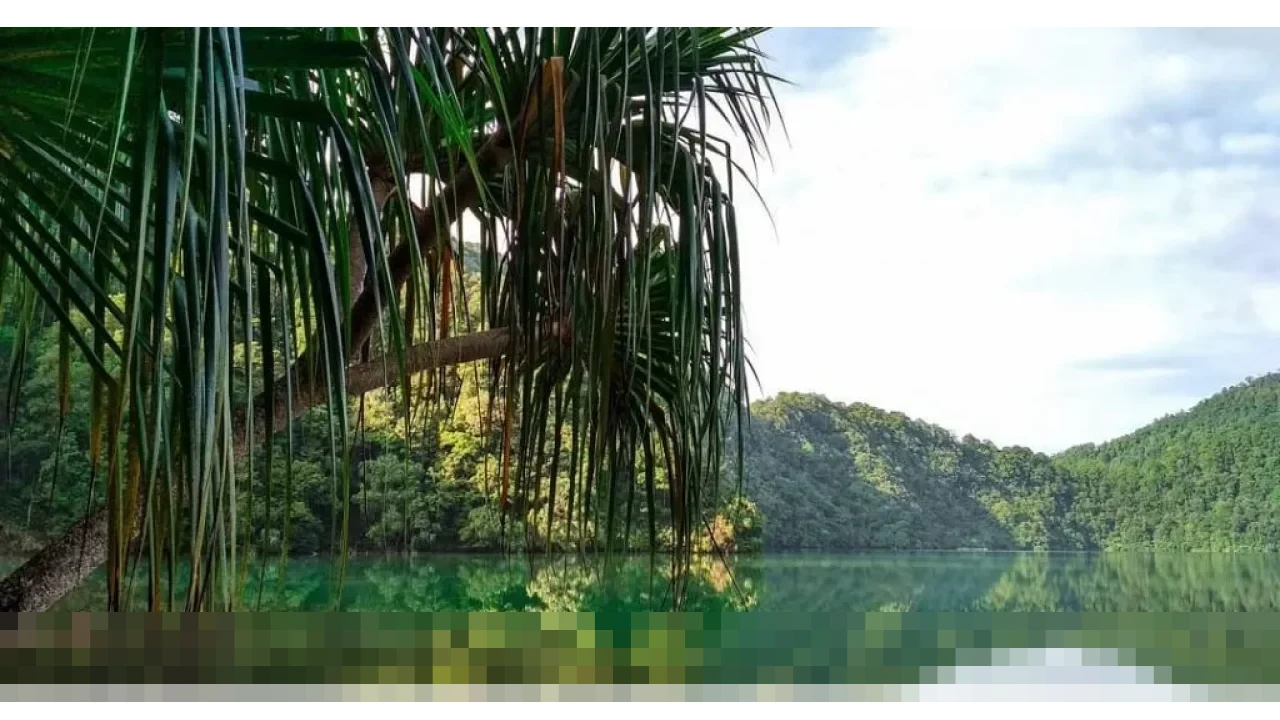 Menyingkap Pesona Danau Laut Tinggal: Kaldera Purba Tersembunyi di Jantung Hutan Sumatera Barat