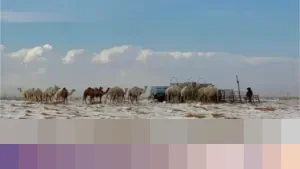 Misteri Salju dalam Doa Rasulullah SAW: Tanda Kenabian dan Fenomena Langka di Jazirah Arab