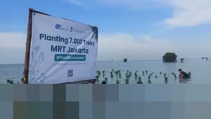 MRT Jakarta Genjot Penanaman 7.000 Mangrove di Pulau Pari, Serap Karbon dan Tingkatkan Ekonomi Warga